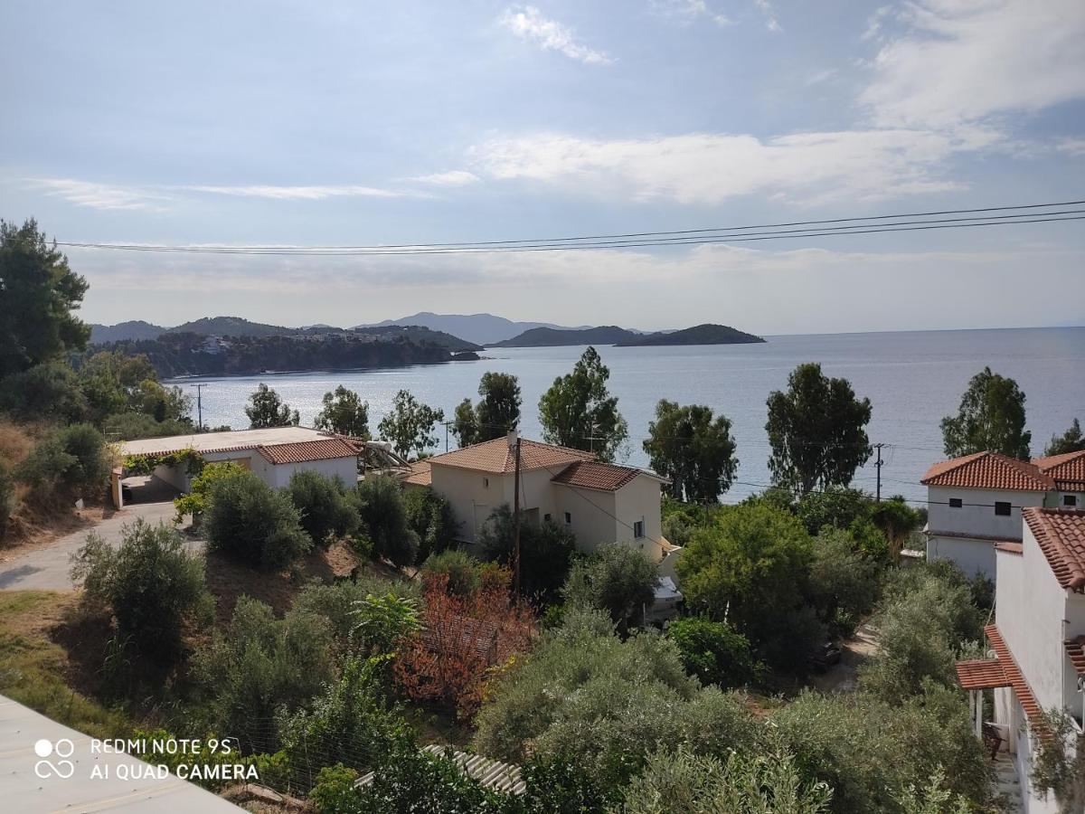 Amaranthos Skiathos View 梅加利阿莫斯 外观 照片